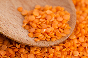 Image showing Dry Organic Red Lentils