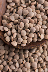 Image showing Dry Organic Brown Lentils