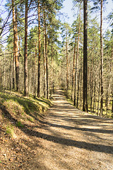 Image showing Jogging trail