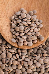 Image showing Dry Organic Brown Lentils