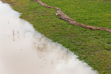 Image showing Straws