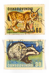 Image showing Vintage collectible postage stamps