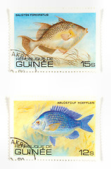 Image showing Exotic fish on stamps