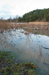 Image showing Flood