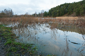 Image showing Flood