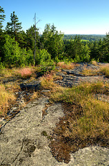 Image showing Landscape