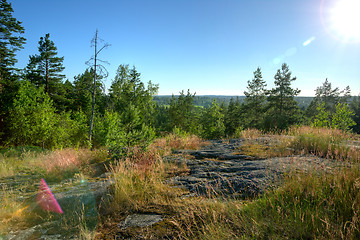 Image showing Landscape