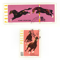 Image showing Horses on collectible stamps