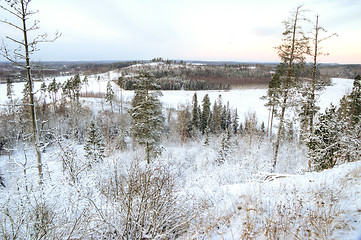 Image showing Winter