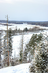 Image showing Winter