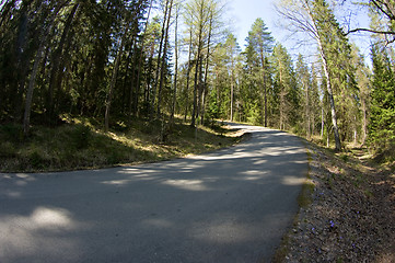 Image showing Road