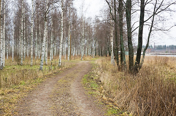 Image showing Dirt road