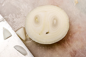 Image showing Horrified onion