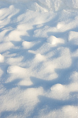 Image showing Snowdrift