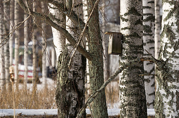 Image showing Birdhouse