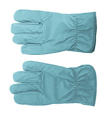 Image showing Gloves picture