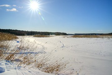 Image showing Winter