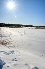 Image showing Winter