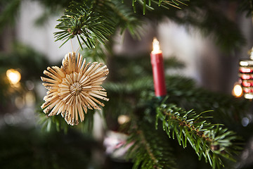 Image showing Straw stars on a christmas tree