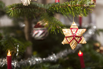 Image showing Straw stars on a christmas tree