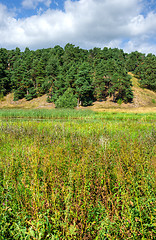 Image showing Landscape