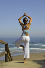 Image showing Yoga exercises