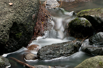 Image showing Creek