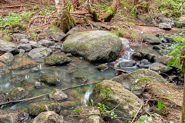 Image showing Creek