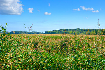 Image showing Landscape