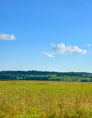 Image showing Landscape