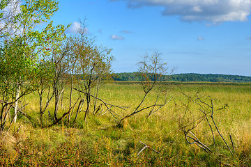 Image showing Landscape