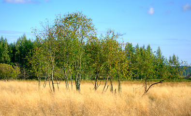 Image showing Landscape