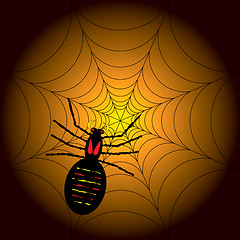 Image showing halloween spider