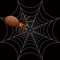 Image showing halloween spooky spider