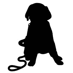 Image showing Labrador Puppy Silhouette