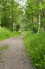 Image showing Dirt road