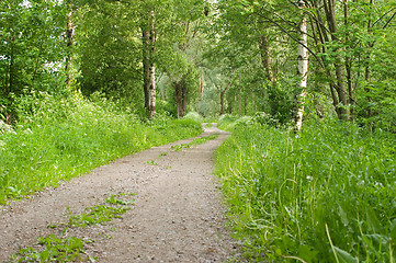 Image showing Dirt road