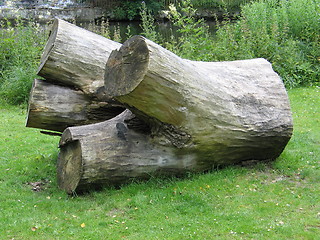 Image showing Gian Log