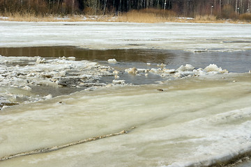 Image showing Ice floe