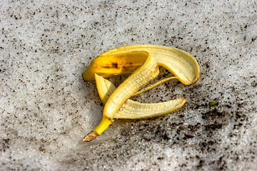 Image showing Banana