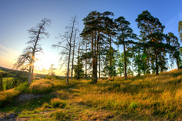 Image showing Landscape