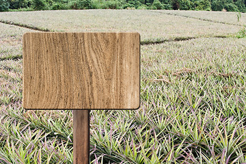 Image showing Blank wooden sign