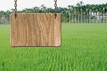 Image showing Blank wooden sign