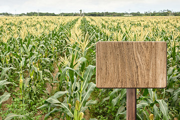 Image showing Blank wooden sign