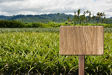 Image showing Blank wooden sign