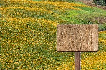 Image showing Blank wooden sign