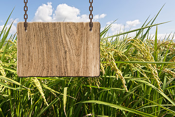 Image showing Blank wooden sign