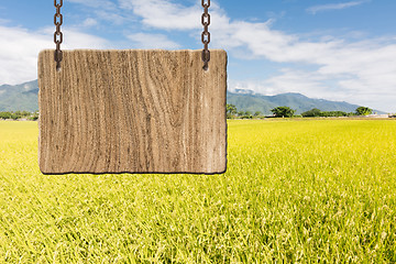 Image showing Blank wooden sign