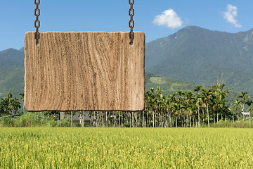 Image showing Blank wooden sign