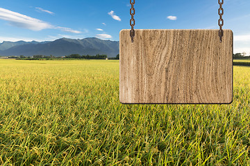 Image showing Blank wooden sign